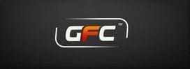 The GFC